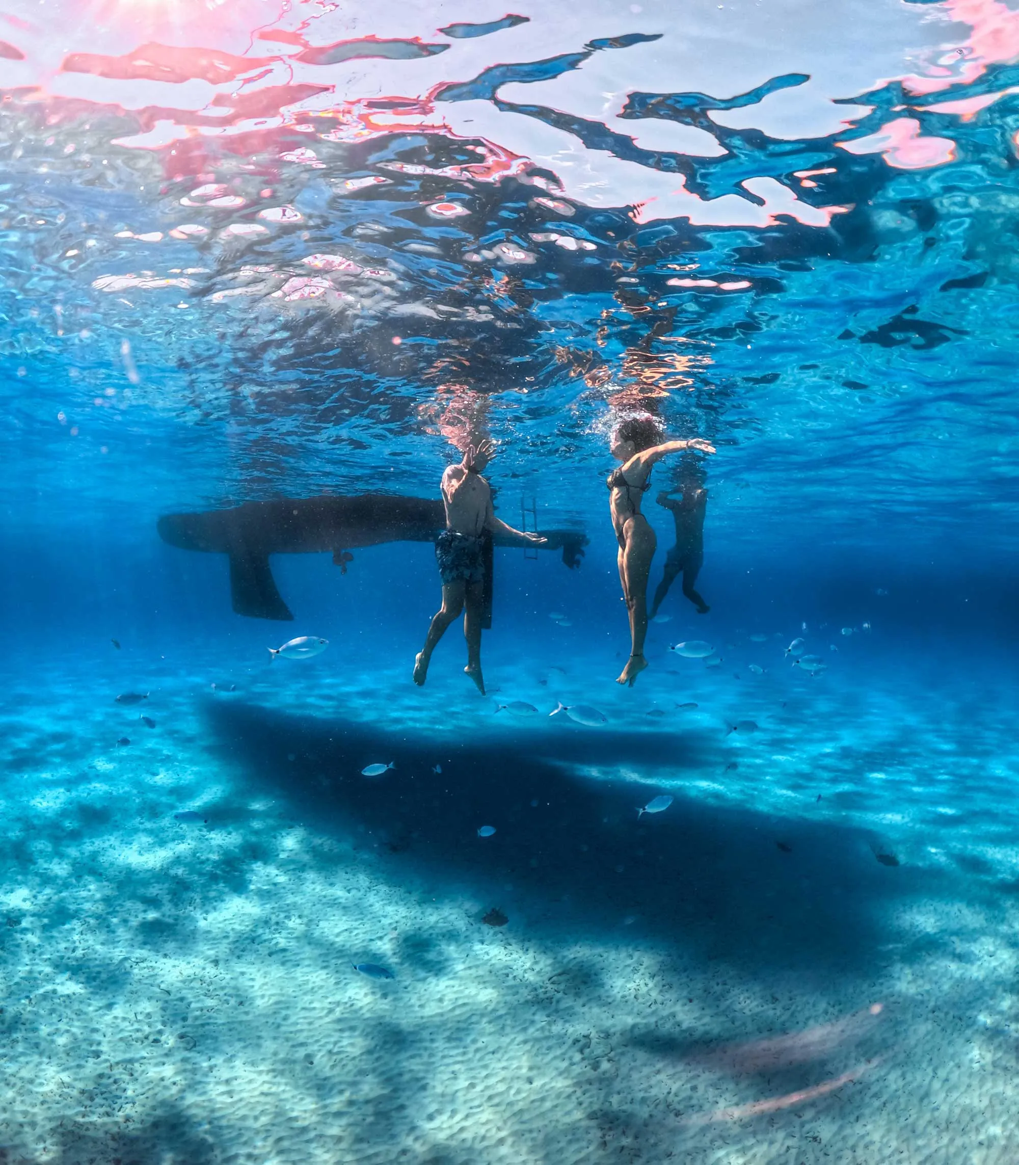 Mari Pintau - Immagine 3